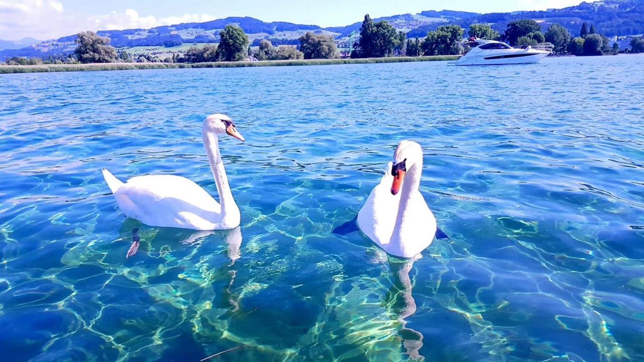 Schoenes Studio In Arbon Am Bodensee Neu Klimatisiert ! Luaran gambar